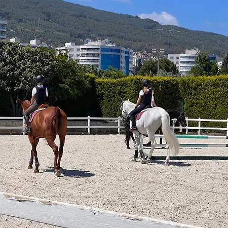 B. Equine Range Farma *