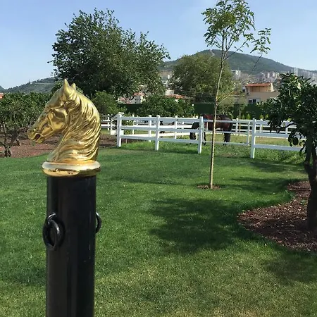 Farm stay B. Equine Range *