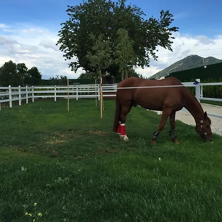 B. Equine Range *