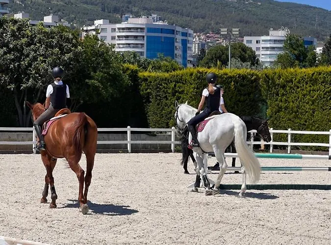 B. Equine Range בית חווה *