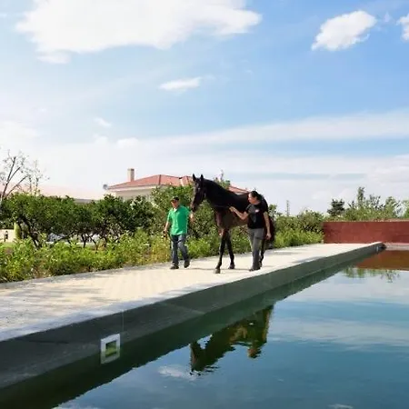 B. Equine Range Narlidere