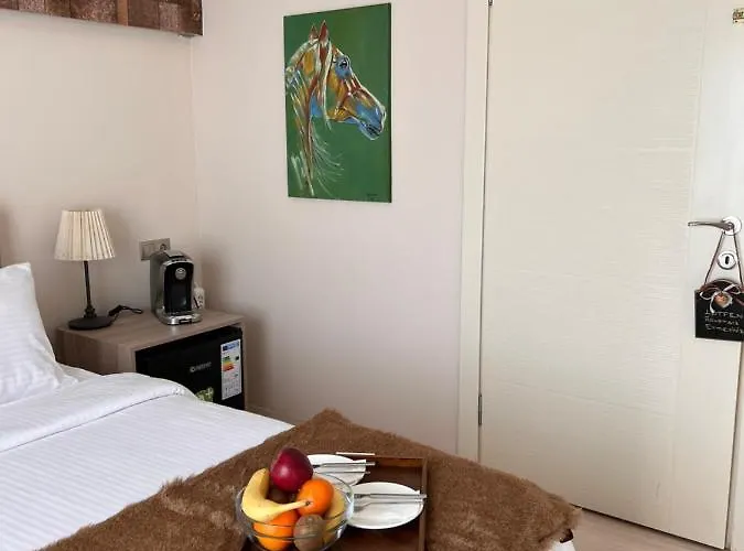 Farma B. Equine Range