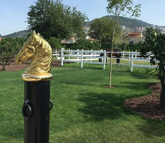 Farma B. Equine Range *